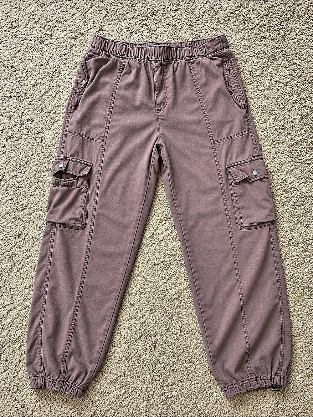 C&C California Cargo Jogger Pants in Taupe Brown